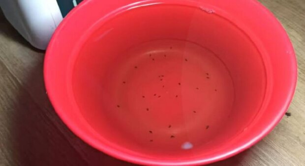  ���������� ���� ����������� �������� ������ �������� ����� 