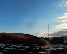 Нова НП з танкером "Делфі" біля берегів Одеси: екологи показали масштаби, відео