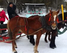 повозка