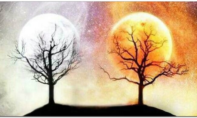 0d507ea77c20094fdea10dd6281ef5bb6d169f54