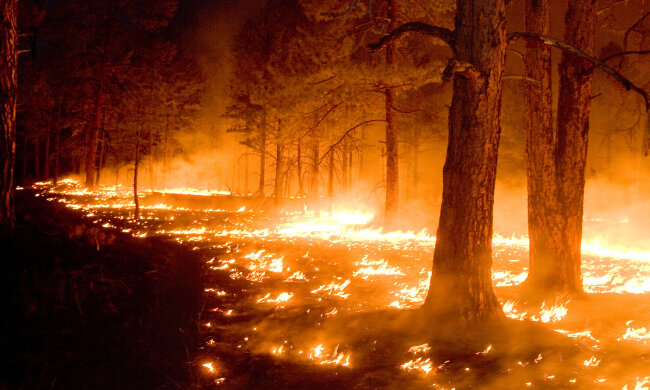 Страшный пожар под аэропортом «Борисполь», люди, спасаясь, бросали вещи: «Это пи*дец»