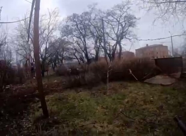 DeaMBPT5j2AycCjne2U6UAiCmSOwnHJxou2iKZSU