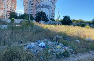 Жителі Чорноморська перетворили околицю міста на смітник, фото: "мільйона буде мало"