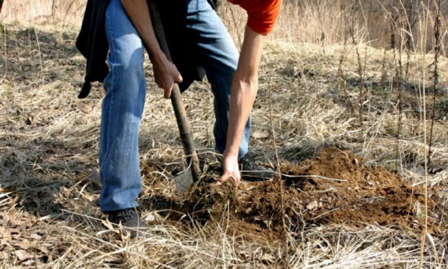 a406a40b-7465-4cb9-ae0a-9691c574fe64-640×394