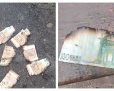 Канализацию забило деньгами на Тернопольщине, появилось видео: "только сотнями евро найдено..."