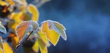 thumbnail-tw-201709291644273437