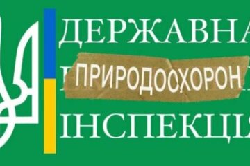 Минэкологии хочет нанести сокрушительный удар экологическому контролю: вместо решения проблем сменить вывески