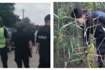 Украинка пошла за грибами и наткнулась на опасную находку, фото: слетелись спасатели