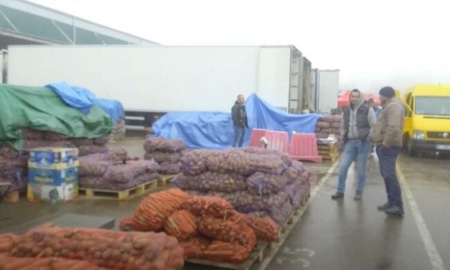 Украинцам объяснили, почему картошка им уже не по карману:  "Цена будет расти"