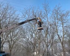 Графіки відключення світла у Полтавській області на 29 січня