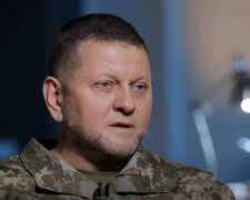 Валерий Залужный