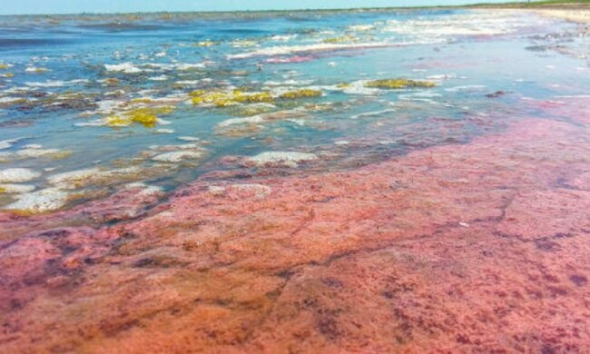 Угрожает здоровью людей: в Одессе море покрылось красным цветом, экологи забили тревогу