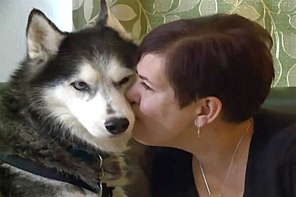6pS7KmkzhgwUlHueJYwvwIvcpDoFwUkcXmj3k5GR - Собака виявила рак і врятувала господиню (Politeka) - rai.ua