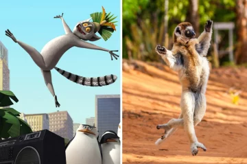 Фотограф из Австралии запечатлел лемура из мультфильма «Мадагаскар» в природе (фото)