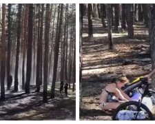 Смажили шашлики: пожежники кинули сили на гасіння пожежі в лісі, відео
