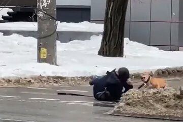 В Днепре неадекват натравливает собаку на прохожих: появилось видео