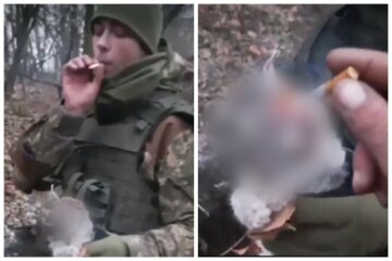 "Как он психиатра прошел": солдат ВСУ потушил окурок о простреленную голову кота, скандал гремит на всю Украину