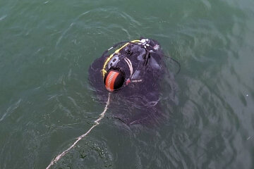 В карьере под Днепром нашли ребенка: "Мама, держитесь..."
