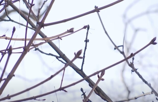  -20 ������ ������� ��������� ���� 