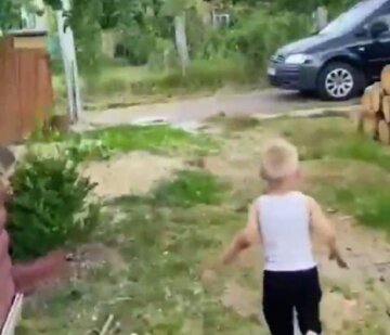 «Мама, папа приехал»: трогательные кадры возвращения бойца ВСУ домой попали в Сеть