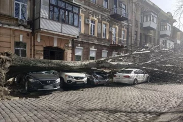 Сотні дерев, будинки і не тільки: як стихія попсувала Одесу, фото