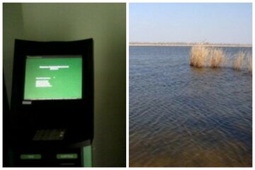 Утопил в ставку: предприниматель обокрал терминал в собственном магазине, подробности странного дела