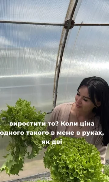 як виростити салат без хімії