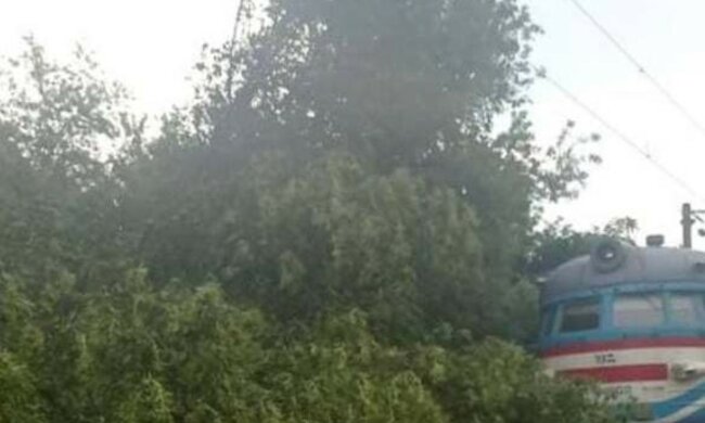 Стихія паралізувала рух поїздів на Харківщині: кадри наслідків