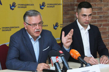 анатолий гриценко