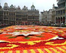 aviatour amsterdam — brussels flower carpet in brussels