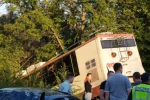 На об'їзній дорозі у Кривому Розі сталась трагічна аварія