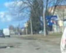 На Закарпатье женщина сняла с себя одежду и пошла вдоль дороги: водители запечатлели "явление" на камеру