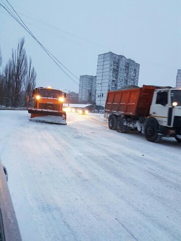 Как убирают снег в Киеве: неожиданные жертвы (фото)