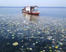 сміття, світовий океан, відходи, забруднення