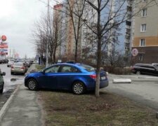 Киевляне наказали наглого водителя за парковку, фото: "забросали булыжниками и..."