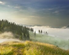 Fog_in_the_Carpathian_Mountains__Ukraine_094465_