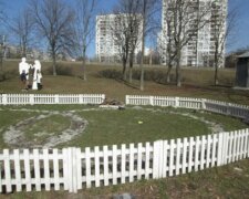 В Киеве зафиксировали нашествие паразитов: самые опасные места для прогулки