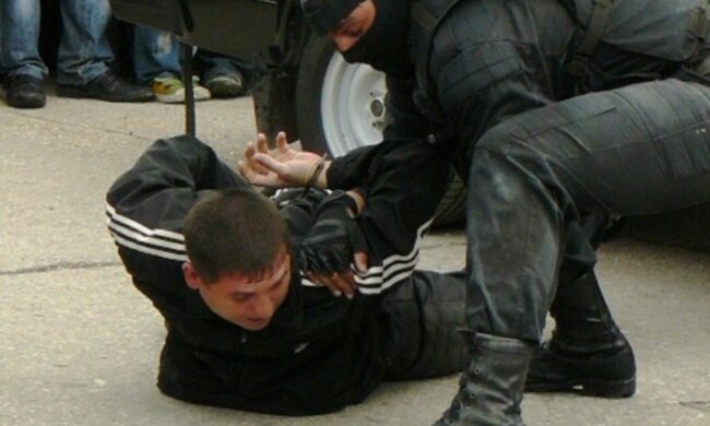 задержание преступника,