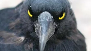 b833d2cb-1ec8-47bd-b7ef-03532de92c72_16x9_1200x676