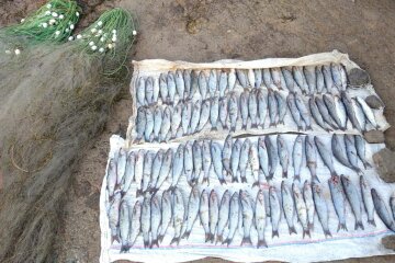 Держекоінспекція запобігла браконьєрству в "Тузловських лиманах": збитки на 18 мільйонів гривень