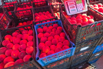 Дефицит продуктов в Сумской области