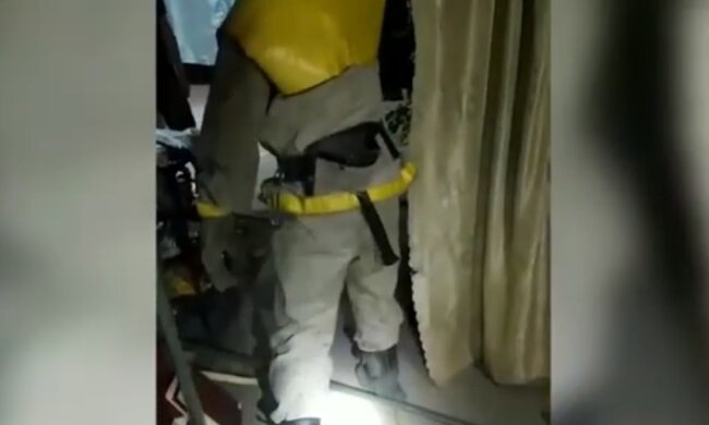 Неожиданный "гость" распугал жителей Кривого Рога, кадры: на место выехали спасатели