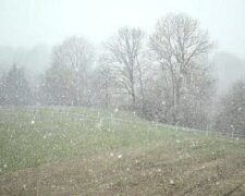 Сніг, ожеледь і похолодання: синоптики попередили про погіршення погоди на Одещині