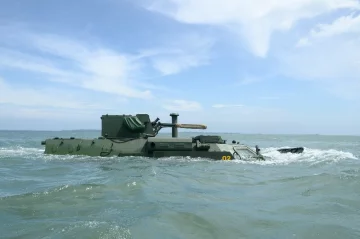 1484996091-1506-btr-4m-protestovali-v-indonezii