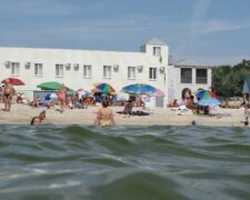 "Грозный вид": опасных морских обитателей заметили на одном из пляжей Одессы, видео