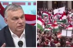 Венгры пытаются "отмыться" от заявлений своей власти об Украине, устроив огромную поддержку: "Очень стыдно"