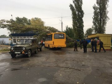 На Одещині дерево обвалилося на пасажирський автобус (фото)