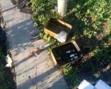 Житель Луганщины пытался утаить гранаты и арсенал оружия (фото)