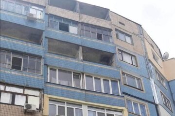Вопиющий случай на Днепропетровщине: собаку выкинули с 7-го этажа, вмешалась полиция