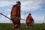 Отключение света с 21 по 24 августа в Запорожской области